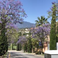 Jacaranda Moving to Spain