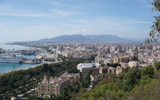 Buyer's Agent Malaga